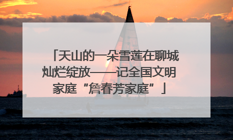 天山的一朵雪莲在聊城灿烂绽放——记全国文明家庭“詹春芳家庭”