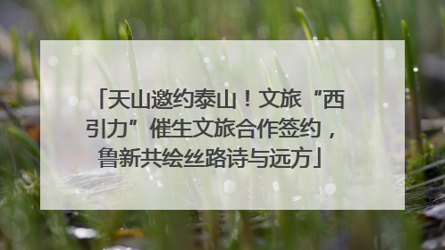 天山邀约泰山！文旅“西引力”催生文旅合作签约，鲁新共绘丝路诗与远方