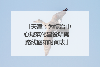 天津：为综治中心规范化建设明确路线图和时间表