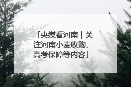 央媒看河南｜关注河南小麦收购、高考保障等内容