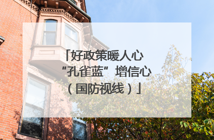 好政策暖人心 “孔雀蓝”增信心（国防视线）