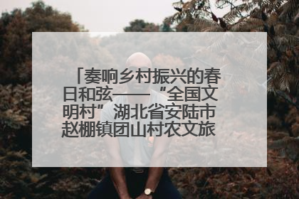 奏响乡村振兴的春日和弦——“全国文明村”湖北省安陆市赵棚镇团山村农文旅融合发展见闻