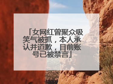 女网红曾聚众吸笑气被抓，本人承认并道歉，目前账号已被禁言