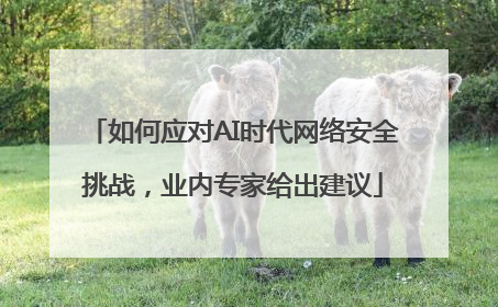 如何应对AI时代网络安全挑战，业内专家给出建议