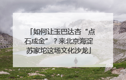 如何让玉巴达杏“点石成金”?来北京海淀苏家坨这场文化沙龙