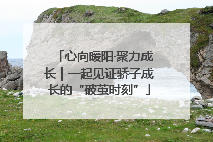 心向暖阳·聚力成长｜一起见证骄子成长的“破茧时刻”
