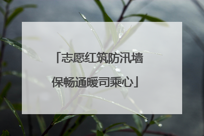 志愿红筑防汛墙 保畅通暖司乘心