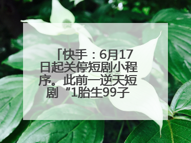 快手：6月17日起关停短剧小程序。此前一逆天短剧“1胎生99子”被全网下架