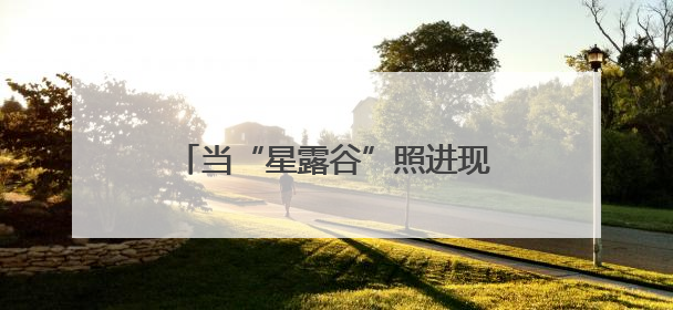 当“星露谷”照进现实：康旅集团乡村旅居的多元共生样本
