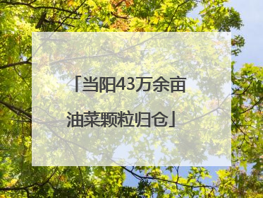 当阳43万余亩油菜颗粒归仓