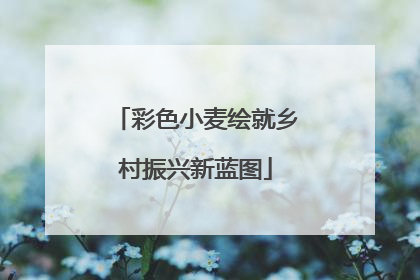 彩色小麦绘就乡村振兴新蓝图