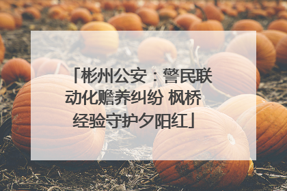 彬州公安：警民联动化赡养纠纷 枫桥经验守护夕阳红