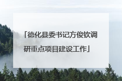 德化县委书记方俊钦调研重点项目建设工作