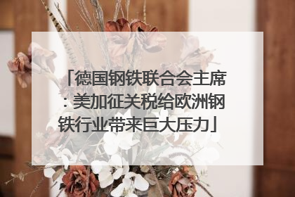 德国钢铁联合会主席：美加征关税给欧洲钢铁行业带来巨大压力