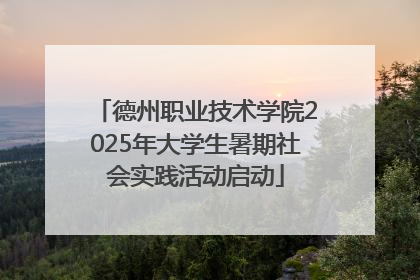 德州职业技术学院2025年大学生暑期社会实践活动启动