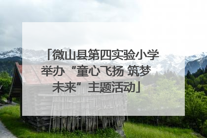 微山县第四实验小学举办“童心飞扬 筑梦未来”主题活动