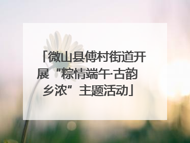 微山县傅村街道开展“粽情端午·古韵乡浓”主题活动