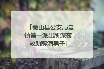 微山县公安局夏镇第一派出所深夜救助醉酒男子