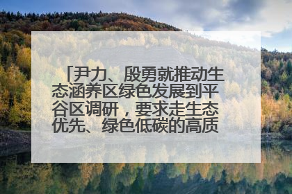 尹力、殷勇就推动生态涵养区绿色发展到平谷区调研，要求走生态优先、绿色低碳的高质量发展之路