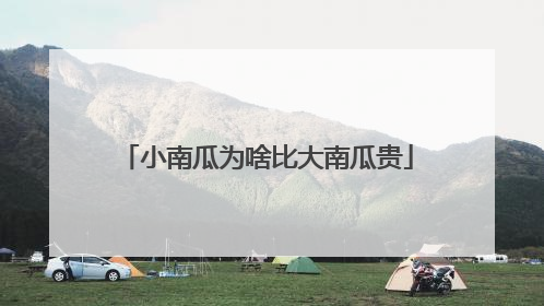 小南瓜为啥比大南瓜贵