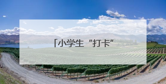 小学生“打卡”法院 沉浸式感受“法”在身边