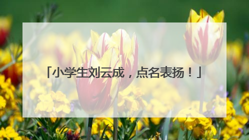小学生刘云成，点名表扬！