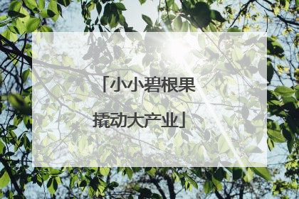 小小碧根果撬动大产业
