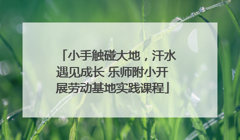 小手触碰大地，汗水遇见成长 乐师附小开展劳动基地实践课程