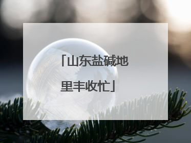 山东盐碱地里丰收忙