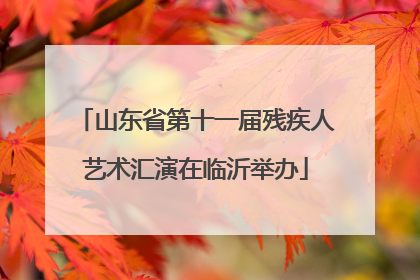 山东省第十一届残疾人艺术汇演在临沂举办