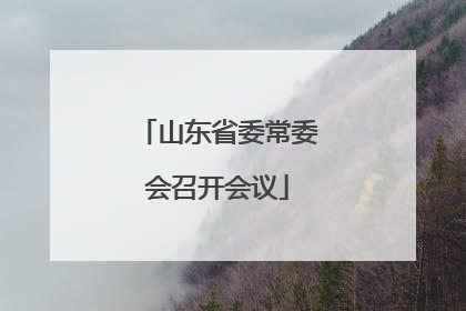 山东省委常委会召开会议