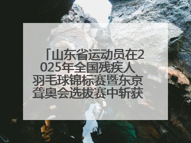 山东省运动员在2025年全国残疾人羽毛球锦标赛暨东京聋奥会选拔赛中斩获3银1铜