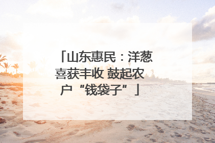 山东惠民：洋葱喜获丰收 鼓起农户“钱袋子”