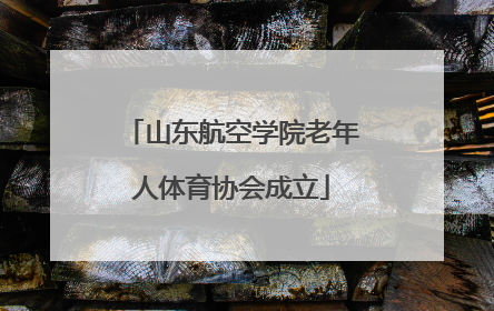 山东航空学院老年人体育协会成立