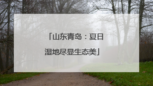 山东青岛：夏日湿地尽显生态美