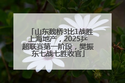 山东魏桥3比1战胜上海地产，2025乒超联赛第一阶段，樊振东七战七胜收官