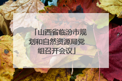 山西省临汾市规划和自然资源局党组召开会议