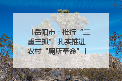 岳阳市：推行“三重三抓” 扎实推进农村“厕所革命”