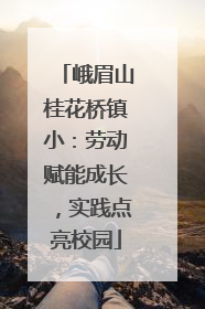 峨眉山桂花桥镇小：劳动赋能成长，实践点亮校园