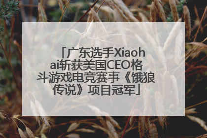 广东选手Xiaohai斩获美国CEO格斗游戏电竞赛事《饿狼传说》项目冠军