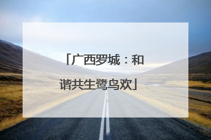 广西罗城：和谐共生鹭鸟欢