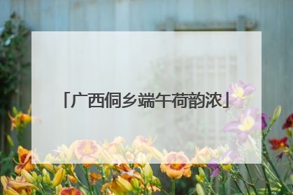 广西侗乡端午荷韵浓