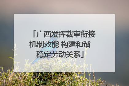 广西发挥裁审衔接机制效能 构建和谐稳定劳动关系