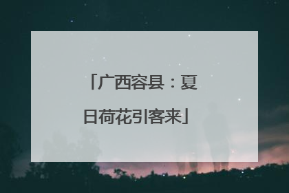 广西容县：夏日荷花引客来
