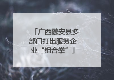 广西融安县多部门打出服务企业“组合拳”