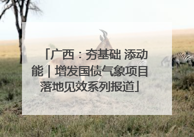 广西：夯基础 添动能｜增发国债气象项目落地见效系列报道