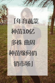 年育蔬菜种苗10亿多株 曲周种苗缘何俏销市场