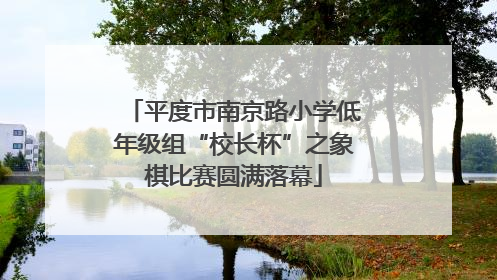 平度市南京路小学低年级组“校长杯”之象棋比赛圆满落幕