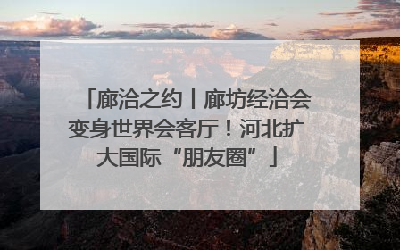 廊洽之约丨廊坊经洽会变身世界会客厅！河北扩大国际“朋友圈”