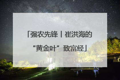 强农先锋丨崔洪海的“黄金叶”致富经